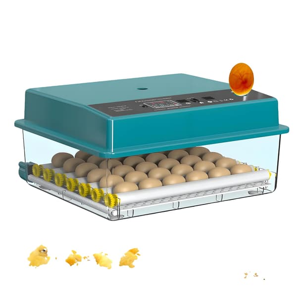 Ägginkubator, 36 äggkapacitet, automatisk vändning,36 Ägg Dual Power