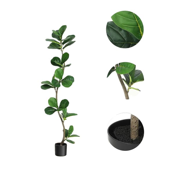 Kunstig Fiddle Leaf Fig Træ, S-formet Stamme, Ingen Vedligeholdelse,4ft