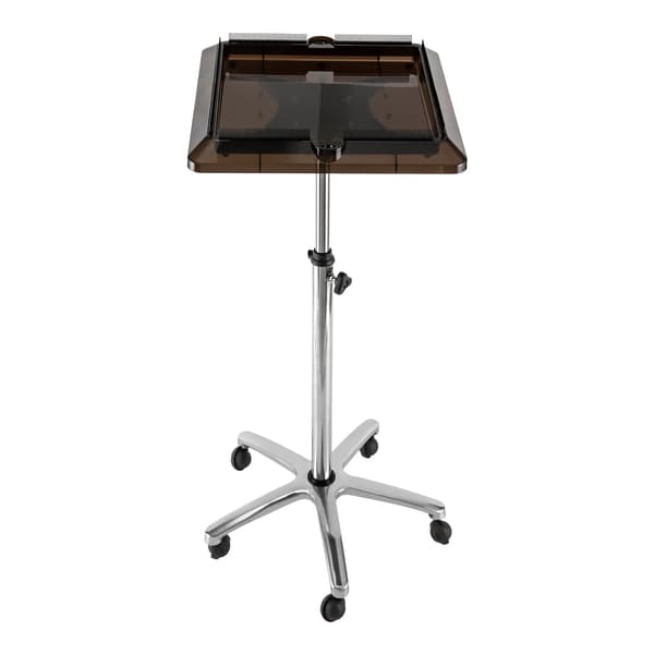 Hårtilbehør Holder Vogn, Justerbar Højde, Mobil Design,Sølv og Sort