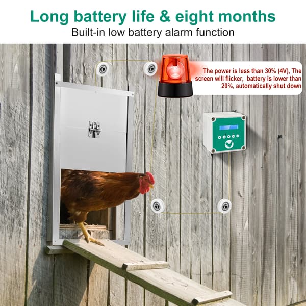 Automatisk Kycklingflapp, Timer & Ljus Sensor, Rostfritt Stål Design,grön