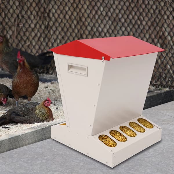 Hönsfoderautomat, Galvaniserat Stål, 11 kg Kapacitet,Röd