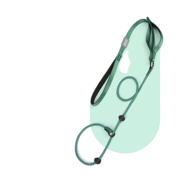 Hundkoppel, Dubbelhandtag, Hållbart Nylonmaterial,grön, 170cm x 0.6cm-b