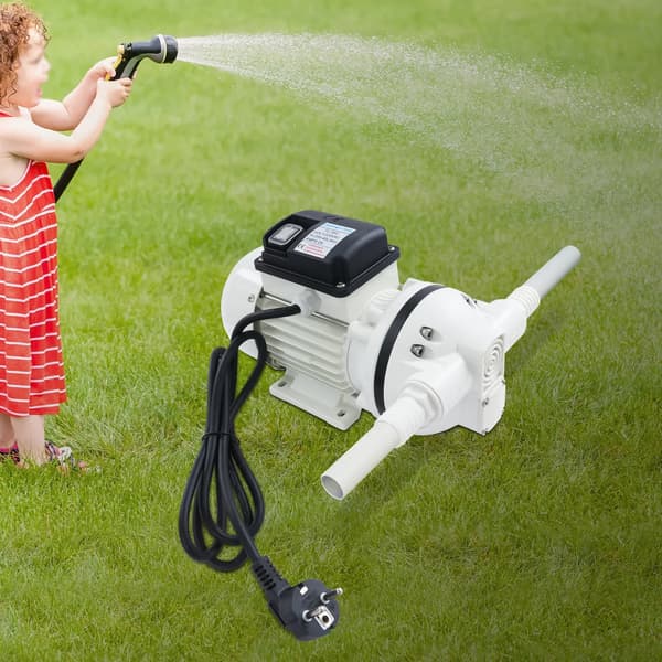 Membranpump, 220V AC, 40 L/min Flödeshastighet,EU, 220V