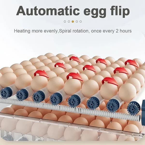 Ägginkubator, Automatisk Temperaturkontroll, Dubbel Strömkälla,15 ägg
