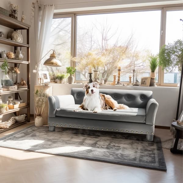 Katsoffa, rymlig design, lätt att rengöra, L