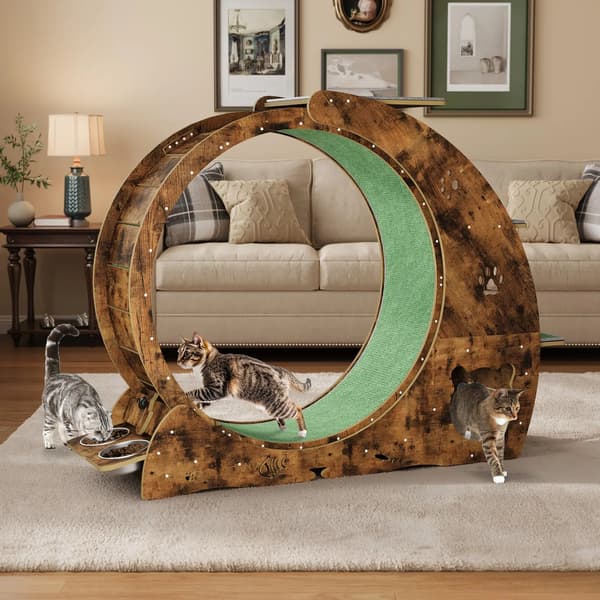 Katte Træningshjul, Multifunktionelt Design, Stille Drift,03