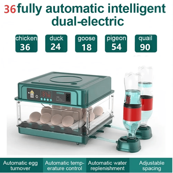 Ägginkubator, Automatisk Äggvändning, Smart Temperaturkontroll,36 ägg