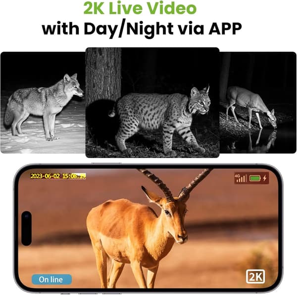 Jagtkamera, 4G LTE-forbindelse, solcelledrevet,Kun kamera