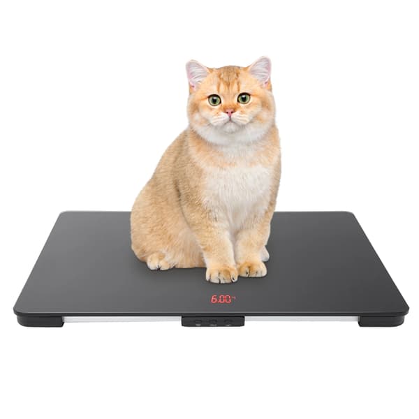Kæledyrsvægt, LCD-display, 100 kg kapacitet,sort