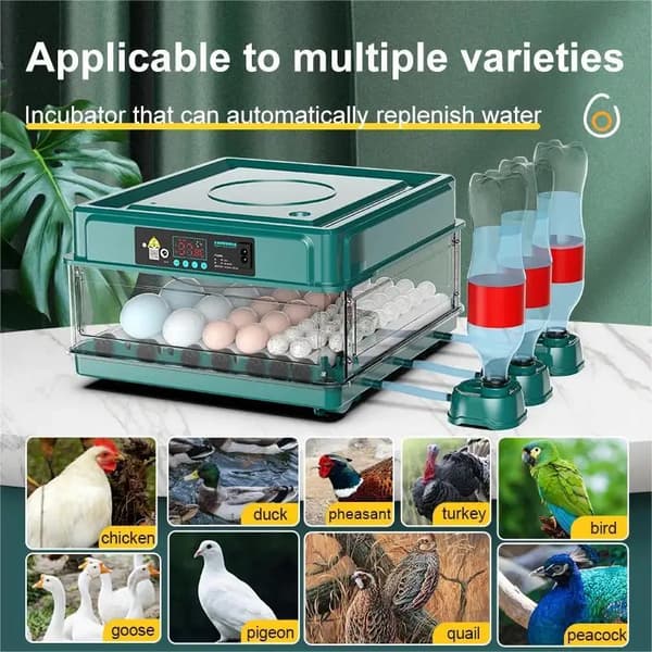 Ägginkubator, Automatisk Äggvändning, Smart Temperaturkontroll,36 ägg