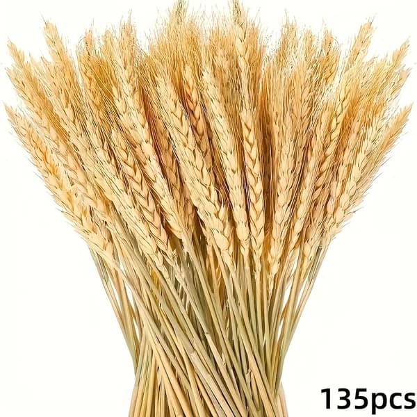 Torkad Blomsterarrangemang, Heminredning, Bröllopsdekoration,vetekorn