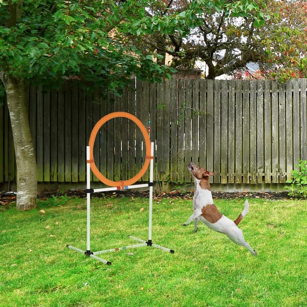 Agility Hoppring, Mångsidig Design, Lätt att Montera,Vit + Orange