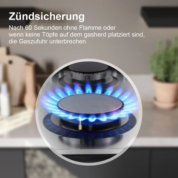 Kogeplade, 4 Blus, Dual Fuel Kompatibilitet,Rustfrit stål