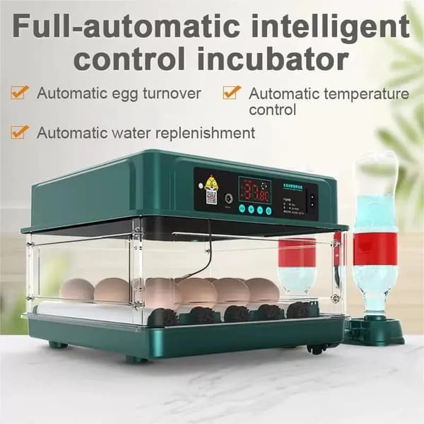 Inkubator, Automatisk Äggvändning, Digital Temperaturkontroll,15 bitar