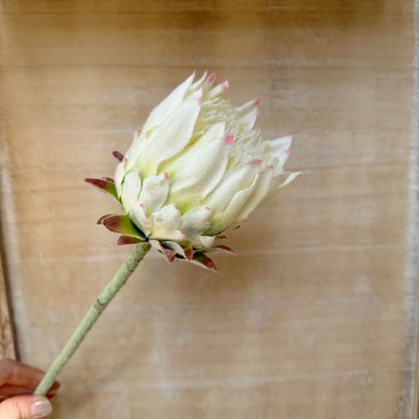 Kunstig Blomst, Elegant Hjemmedekoration, Perfekt til Begivenheder,HVID