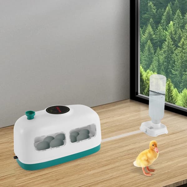 Ägginkubator, LED-display, justerbar temperatur och luftfuktighet,Vit