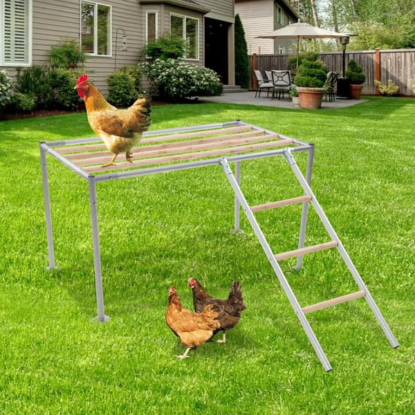 Kylling Perch, Trædesign, Integreret Stige,Gul
