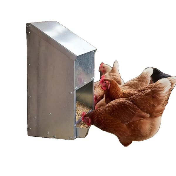 Hönsfoderautomat, Galvaniserat Stål, Hållbar Design,armégrön