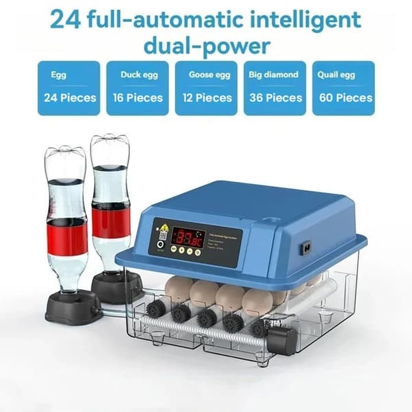 Ägginkubator, Automatisk Vridning, Temperaturkontroll,24 ägg