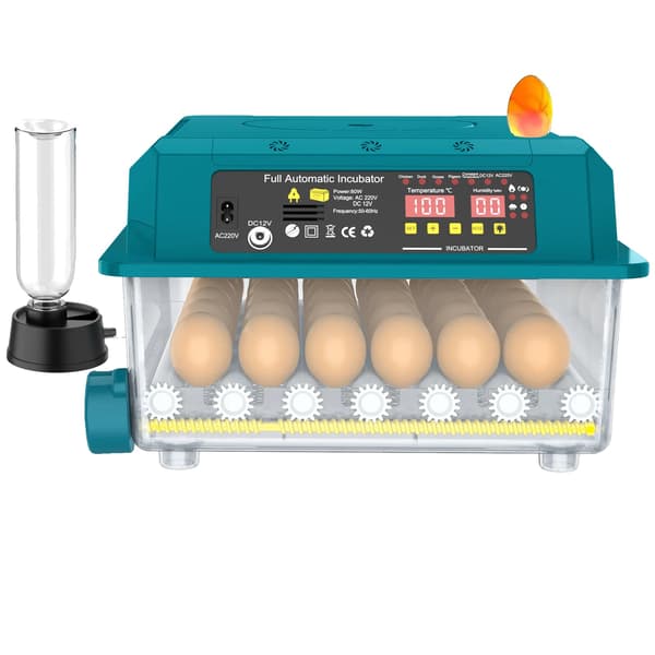Æggeincubator, 36-æg kapacitet, automatisk klækningsmetoder,36-Egg