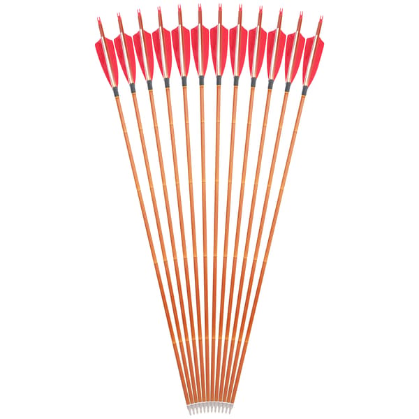 Kolfiberpilar, Hybridmaterial, 100 Grain Pilspets,12PCS Röd