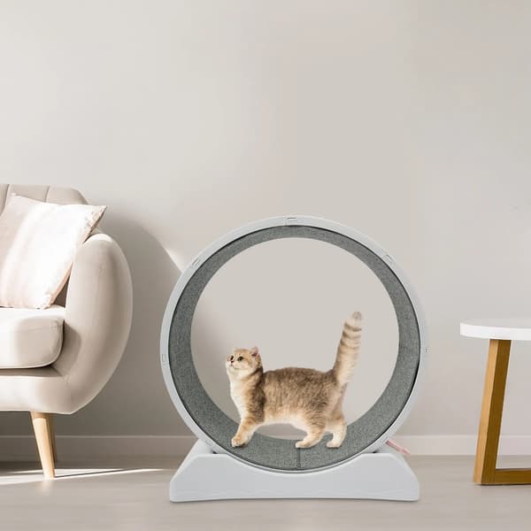 Kattträningshjul, Utformat för Inomhusträning, Säkra Lekfunktioner,GRÅ
