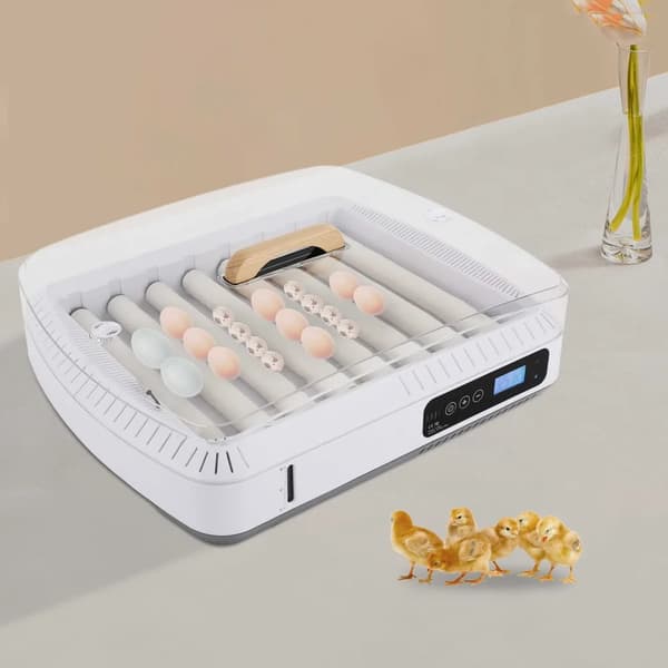 Ägginkubator, Helt Automatisk Kontroll, 35 Ägg Kapacitet,VIT