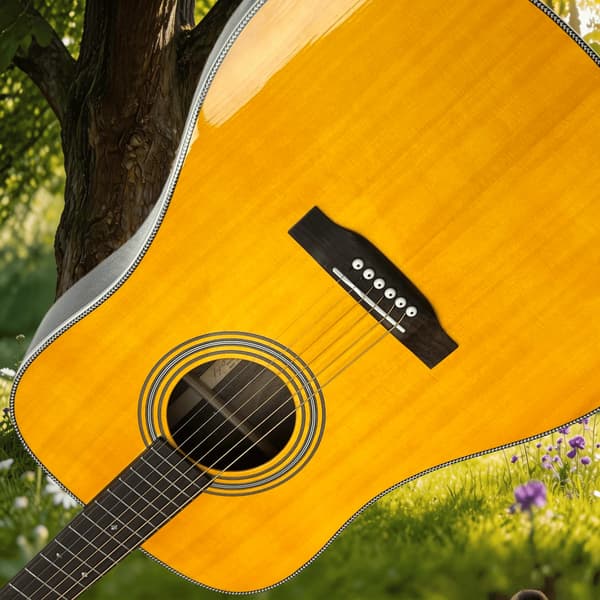 Akustisk Gitarr, Rosenwoodhals, Fast Bro,GUL