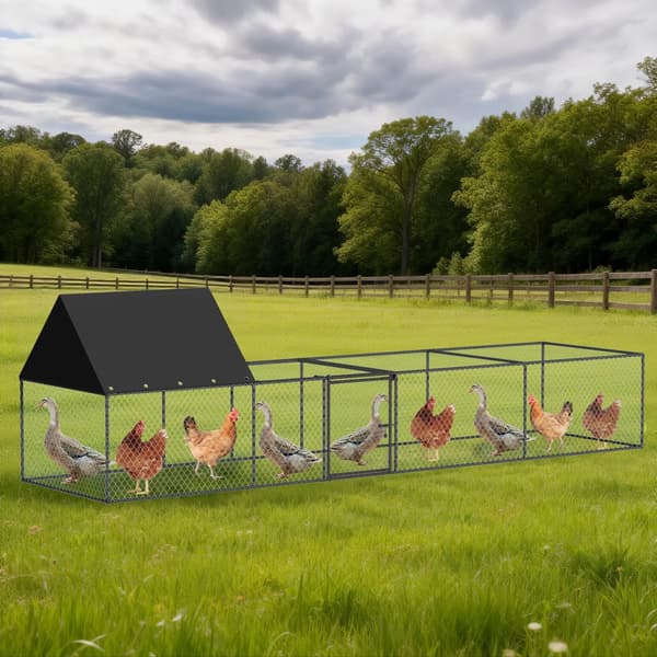 Hönshus, Gångdesign, Rovdjurskydd,svart