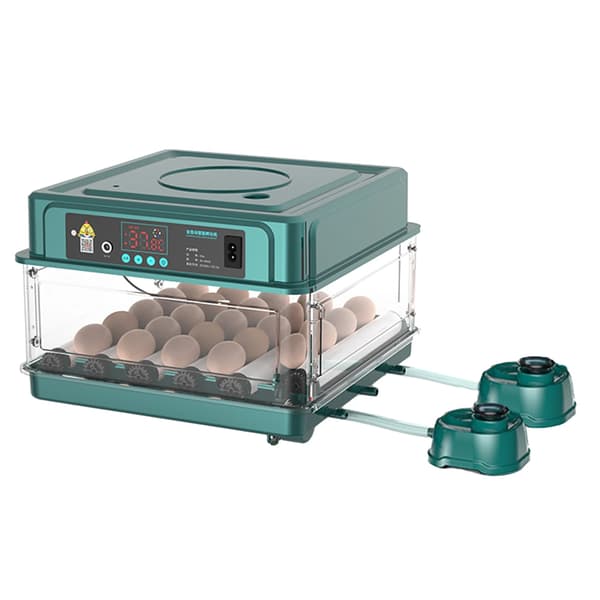 Ägginkubator, Automatisk Äggvändning, Temperaturkontroll,30 Ägg (pl)