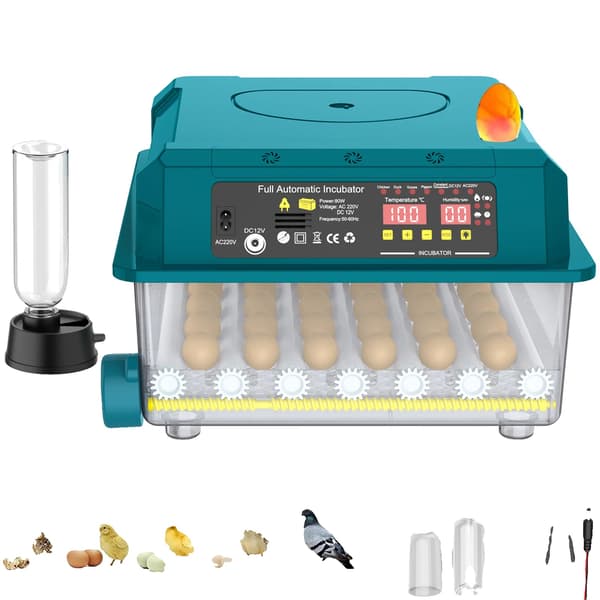 Ägginkubator, Automatisk Temperaturkontroll, Mångsidig Äggkompatibilitet,36 Ägg