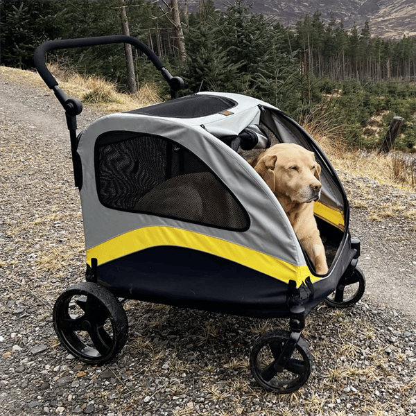 Hundtransportör, Fällbar Design, 4-hjulig Mobilitet,GRÅ