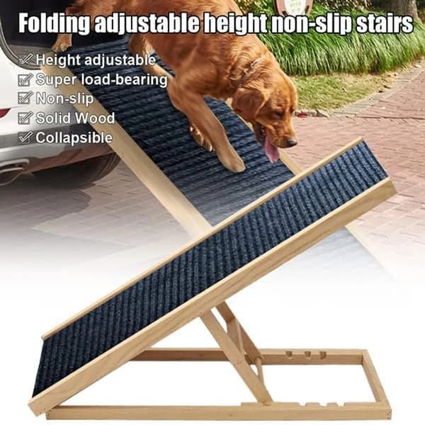 Hundramp, Halkfri Yta, Fällbar Design,MULTI