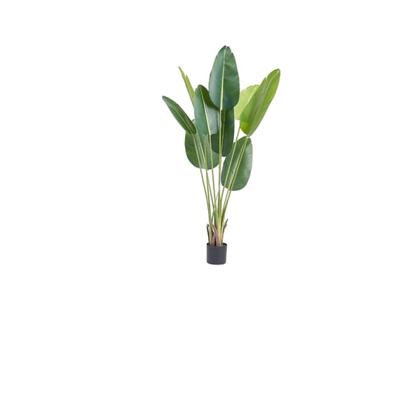 Konstgjord Palm, Husdjursvänlig, Låg Underhåll,5ft 1