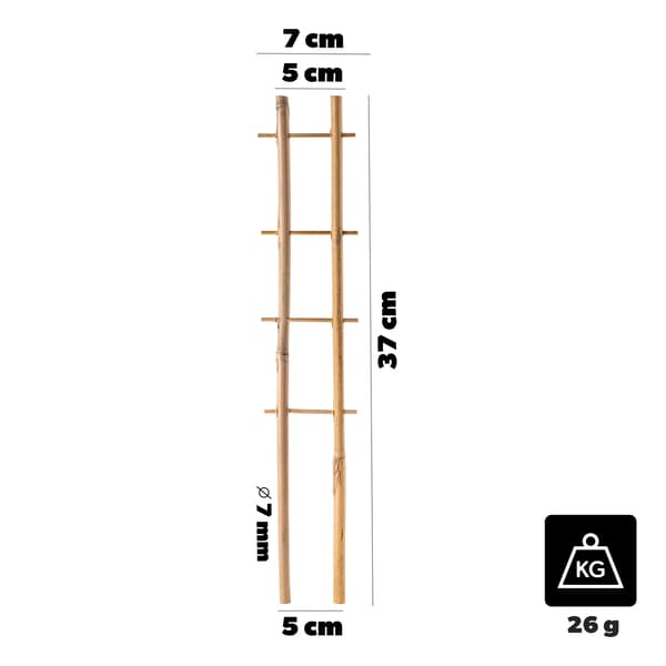 Bambu Stege Stöd, 37 cm höjd, 10 stycken, Lämplig för olika växter, Stöder växter mot vind och regn, Hållbart material