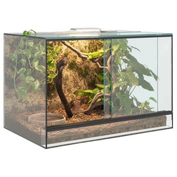Terrarium, Transparent Design, Hållbar Glas Konstruktion,Transparent