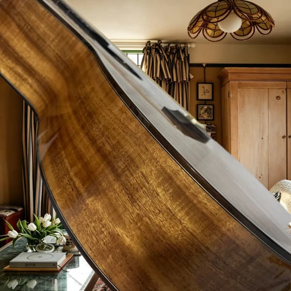 Gitarr, KOA-kropp, Rosenträsgrepp,Brun