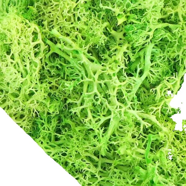 Moss, Mjuk Limmaterial, Mångsidig för Heminredning,grön, 20gram-a