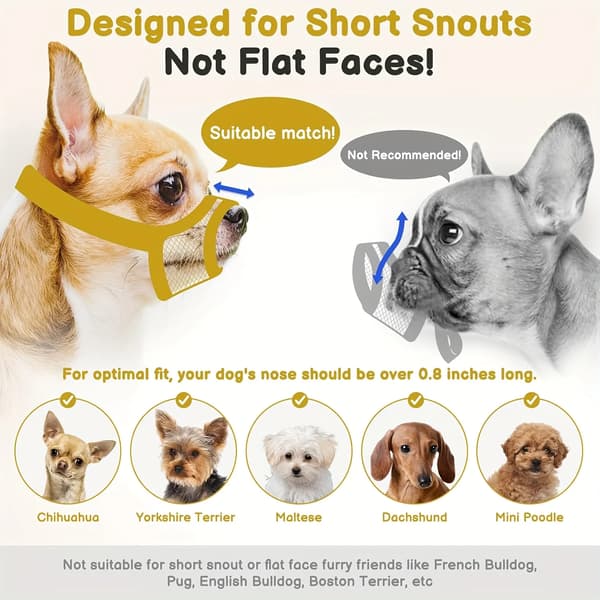 Mesh Snude, Designet til Korthalede Hunde, Behagelig og Åndbar,S, sort