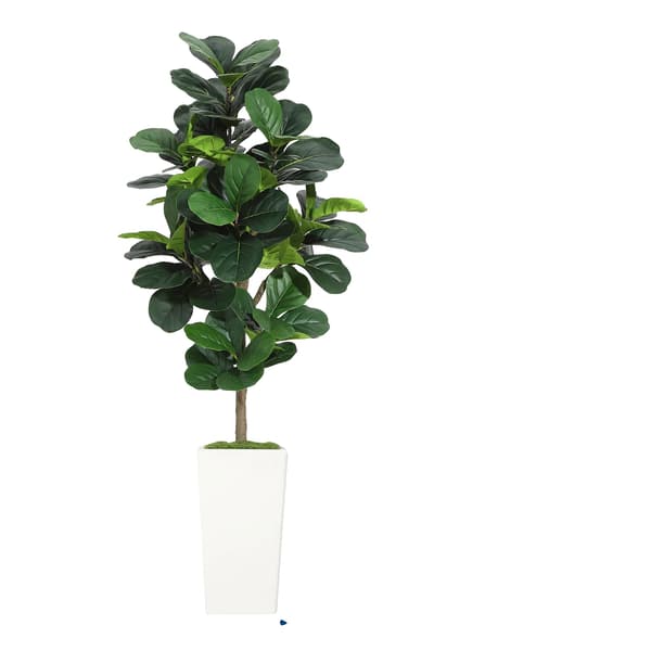 Fiddle Leaf Fig Træ, Realistisk Design, Nem Pleje,6FT 180cm