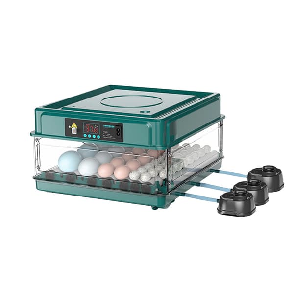 Ägginkubator, Automatisk Vändning, Temperaturkontrollerad,48Ägg