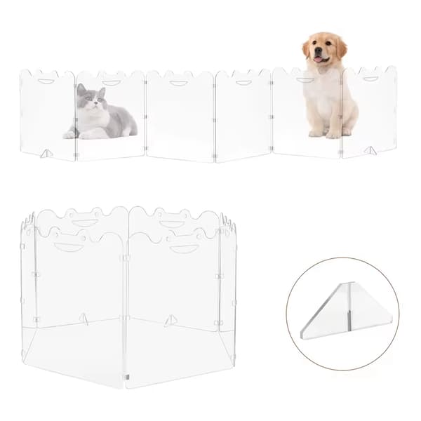 Hunddörr, Transparent Barriär, Vikbar Design, 6-pack