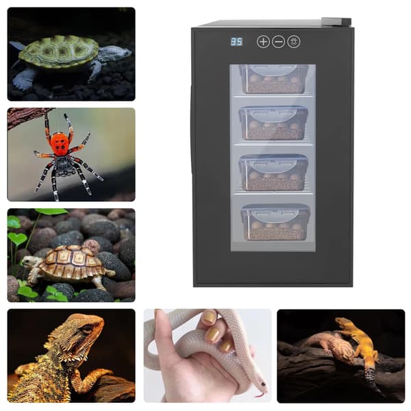 Reptilinkubator, Temperaturkontrol, Stille Drift,Mørk Grå