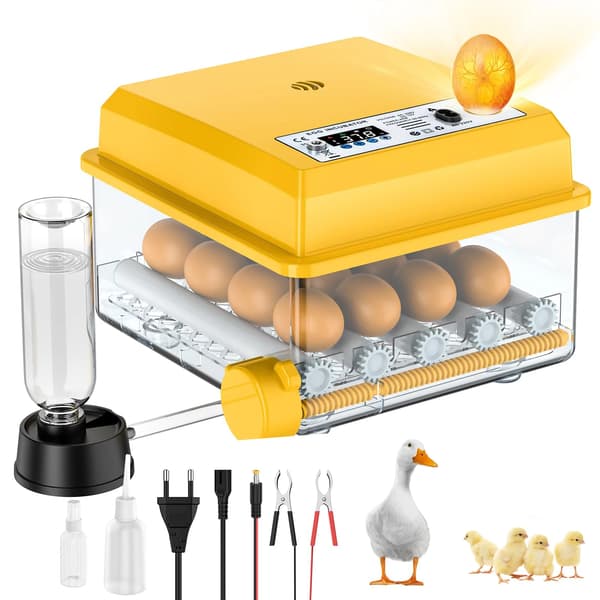 Ägginkubator, Automatisk Temperaturkontroll, LED Äggljus,VIT