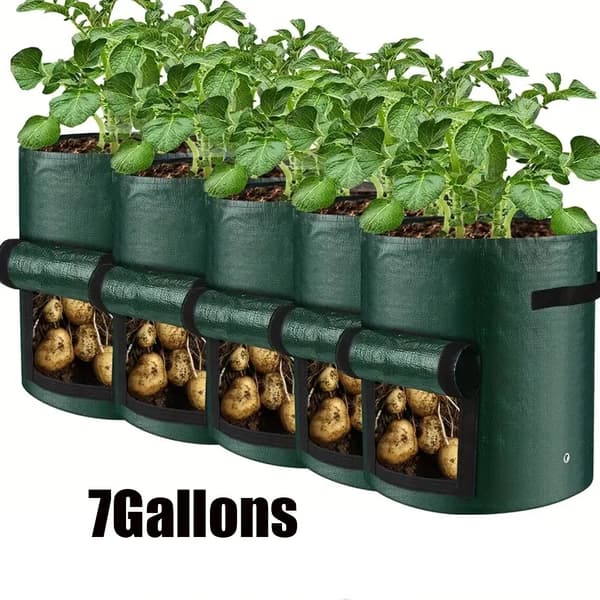 Vækstposer, Holdbart PE-materiale, Egnet til forskellige grøntsager,5PCS   7Gallons