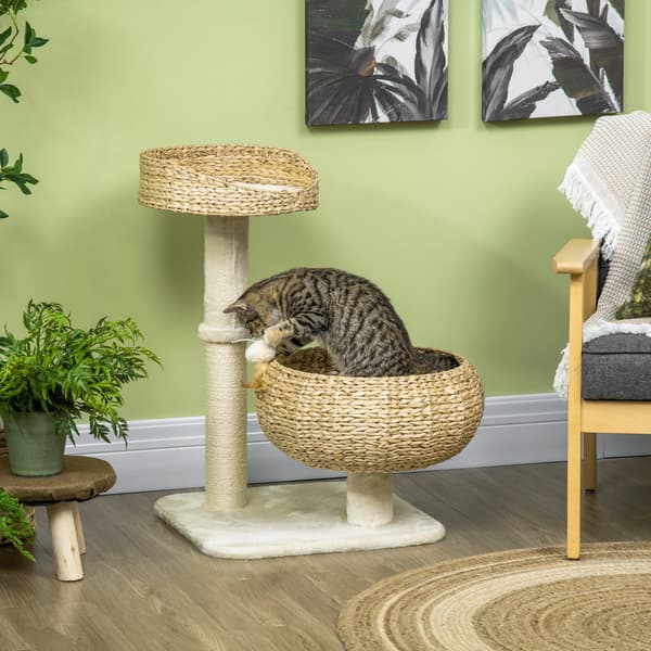 Kattträd, Naturligt Material, Två-Tier Design,Trä