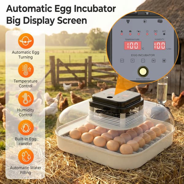 Ägginkubator, Automatisk Vändning, Precise Klimatkontroll,35 Ägg