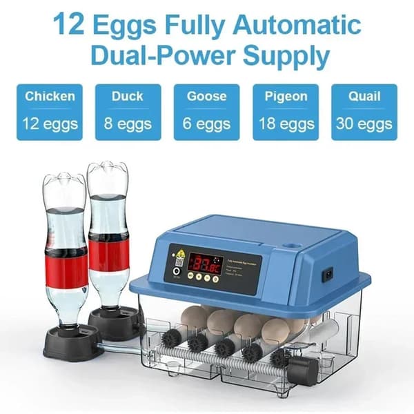 Ägginkubator, Automatisk Vridning, Temperaturkontroll,12 ägg