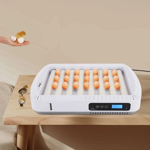 Ägginkubator, Helt Automatisk Kontroll, 35 Ägg Kapacitet,VIT