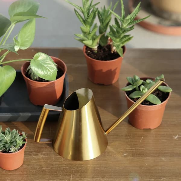 Vandkande, Rustfrit Stål Konstruktion, Ideel til Indendørs Planter,Gul